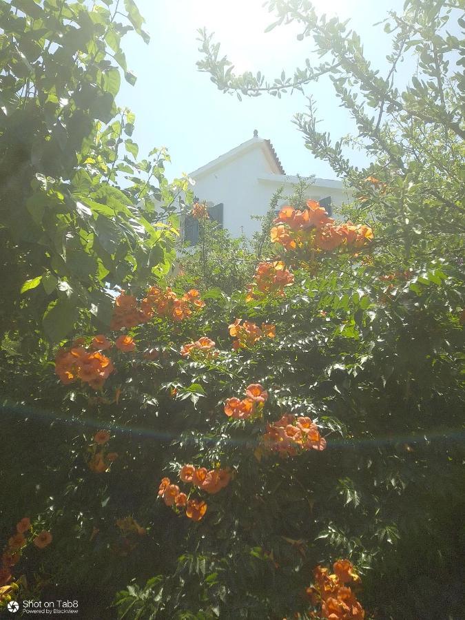 Sirens Kalami Villa Kalami  Luaran gambar